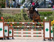 FORMENTINI WIN CHIN CampITA2013- S5 0426 : Campionati Italiani 2013, Cattolica, FORMENTINI FEDERICO, Horse Riviera Resort, WIN CHIN, foto di Stefano Secchi ©